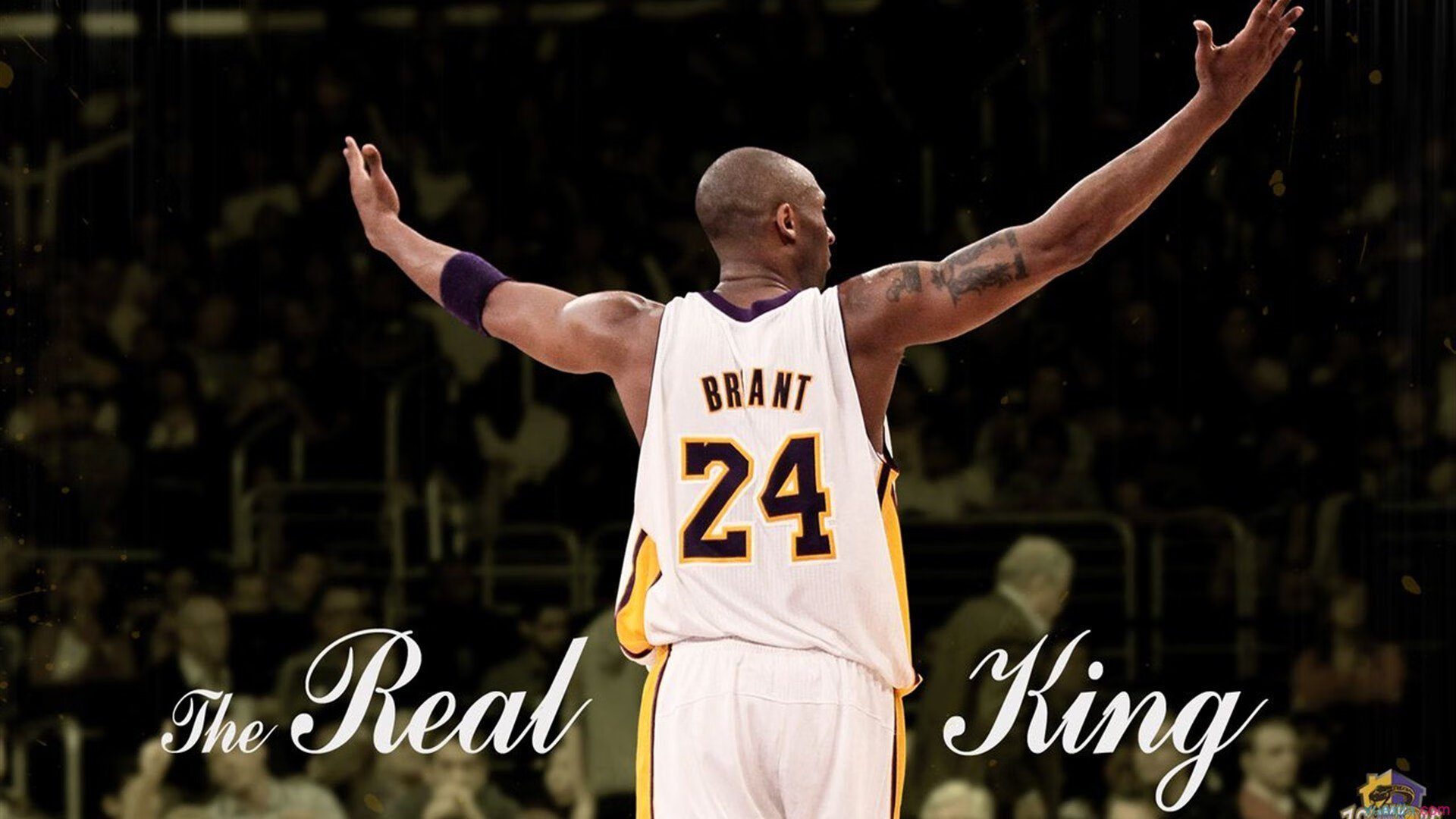 APP下载 LY Sports-卫冕压力：上一赛季冠军开局不稳，能否调整回血？，上个赛季冠军